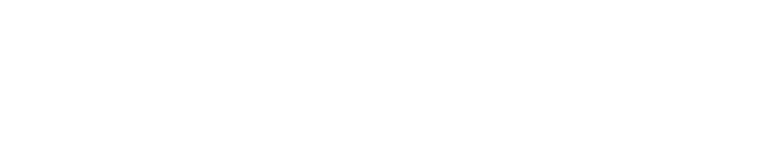 The N2 Company logo